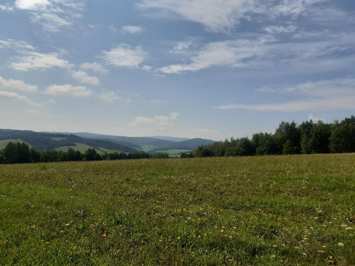 Domek Na Petli Hoczew Exteriör bild